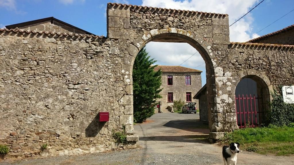 Logis De Riparfonds Bed & Breakfast Bressuire Luaran gambar